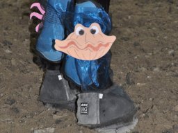 dsc_0233_web